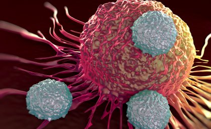 T-cells attacking a tumor cell. T-cells attacking a tumor cell.